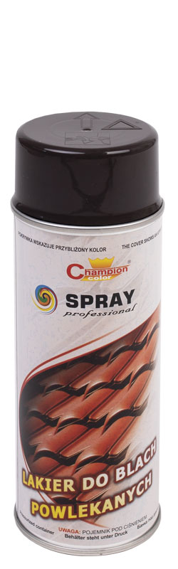 Paint for roof sheet w sprayu
